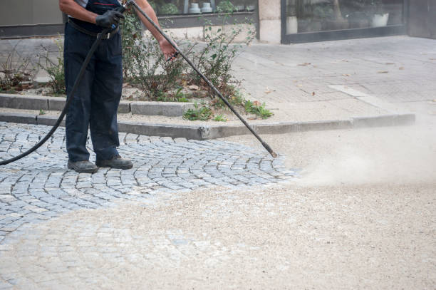 Best Concrete Sealing  in Forest View, IL